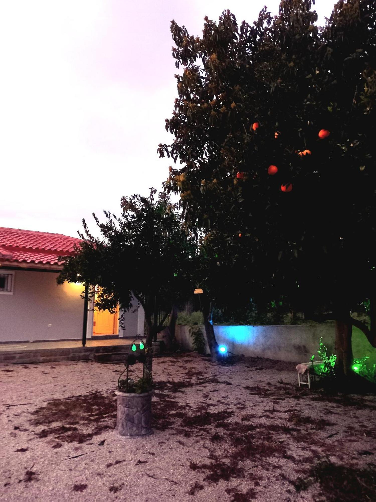 Вилла Avocado House Финикунда Экстерьер фото