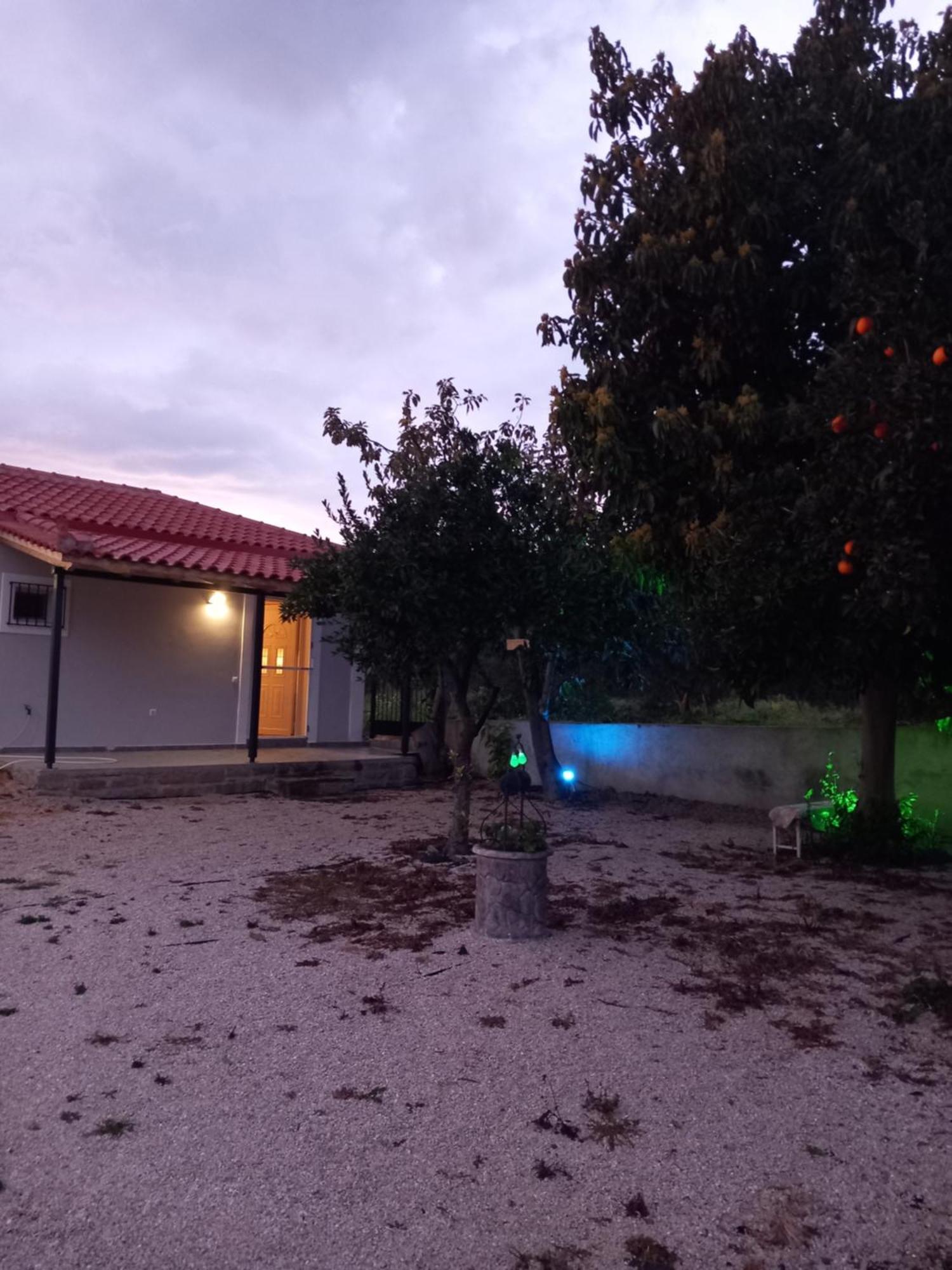 Вилла Avocado House Финикунда Экстерьер фото